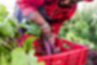 iStock-538489906.jpg