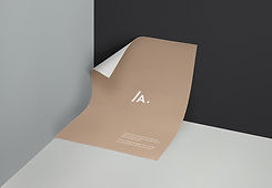 Ontwerp van het Document