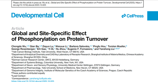 Liu Lab Publishes at Developmental Cell about Phosphosite Lifetime