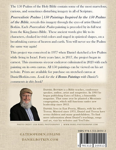 DB BK7 Cover-3 (back-cover-only).jpg