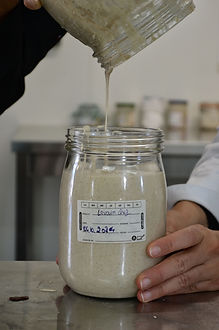 sourdough jar