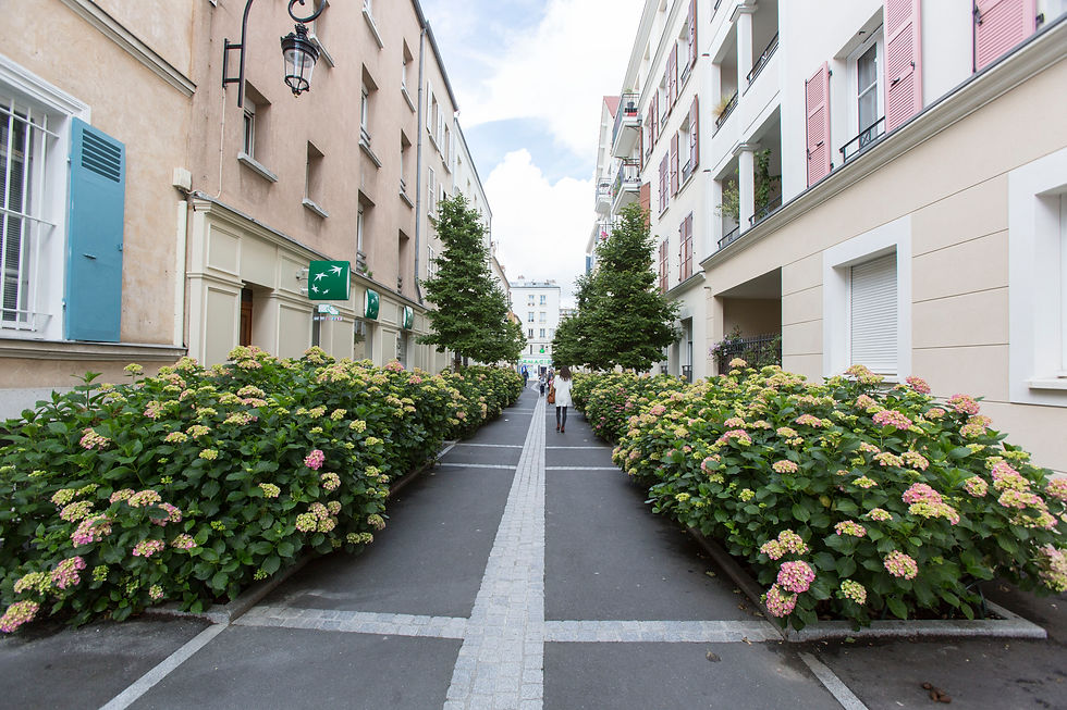 Fleurissement en ville