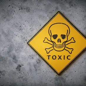 Surviving Toxic Workplaces: Signs, Coping, and Self-Care