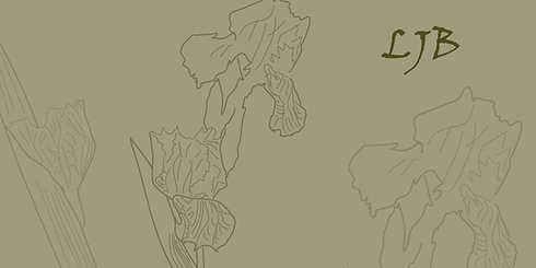 Background brown and Iris.png