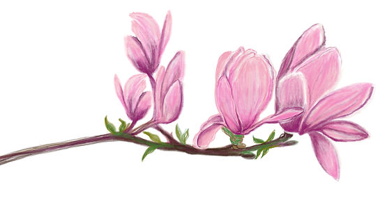 Untitled - 25 pink 2025 12.10_edited.jpg