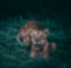 Botswana