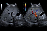 MyVet E-CUBE8 5.jpg
