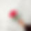 Thumbnail: Paper Blooms!