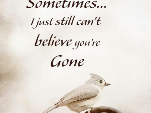 I Can't Believe You're Gone