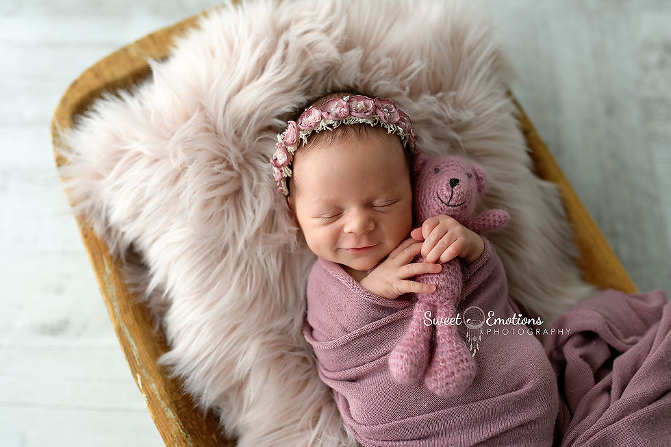 Hills District Newborn photographer