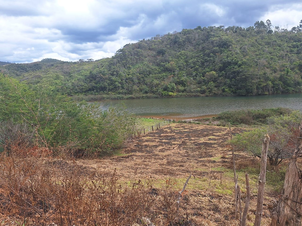 ced7d135-59e0-430e-a6e3-2833dc114aa6