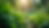 Eye-level view of a lush green garden with diverse plants