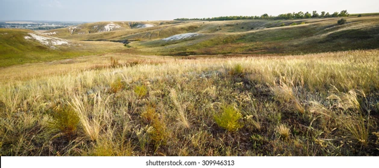 wide-evening-view-steppe-on-260nw-309946313.jpg.webp