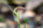 A50A0A71-1774-4641-869F-4134B497A1E7_1_105_c.jpeg