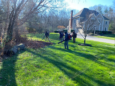 Spring and fall clean ups
