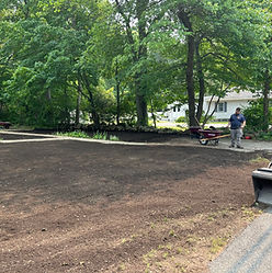 Growing a lush lawn