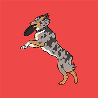 FrisbeeDog 50px.png