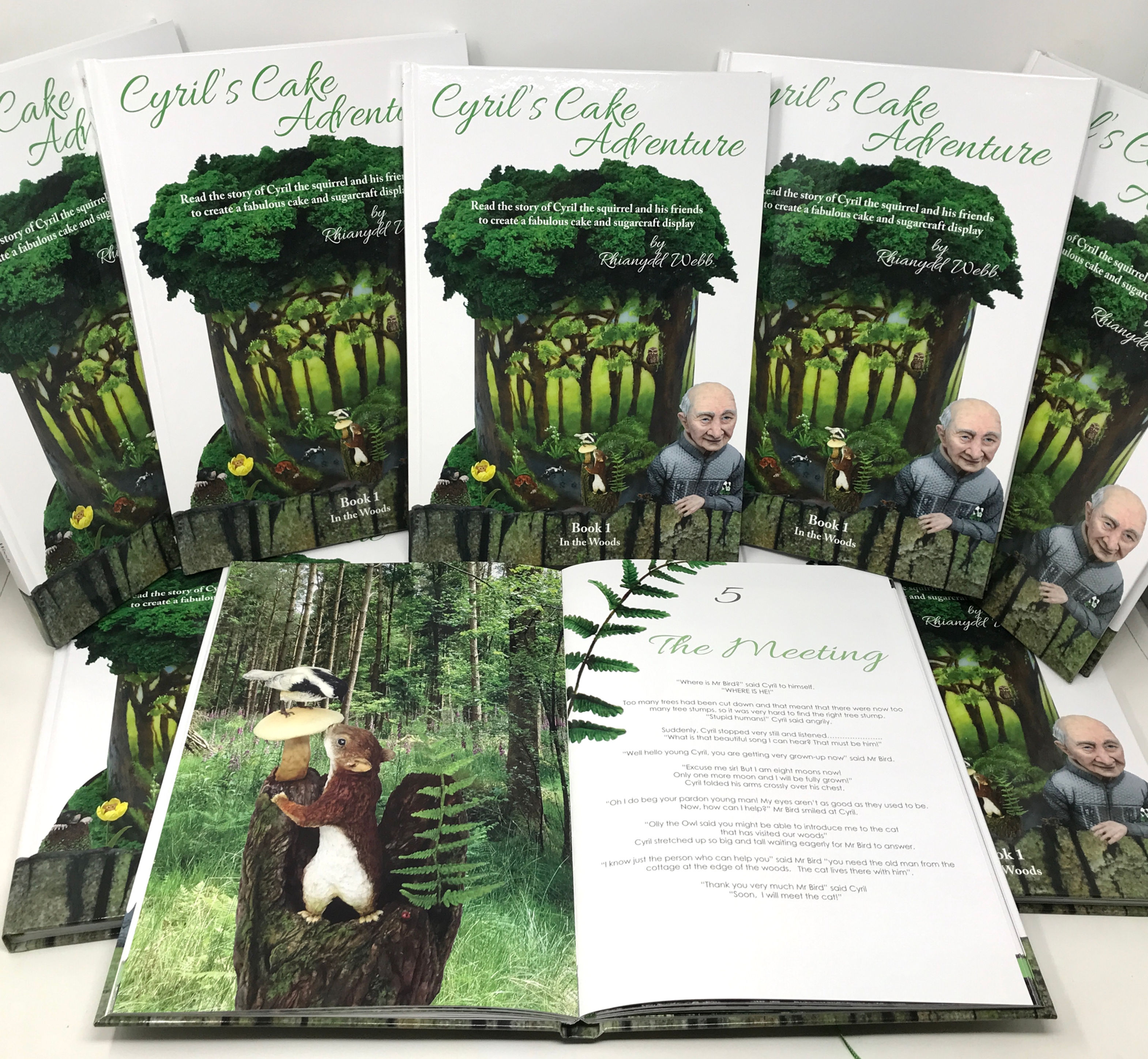 Cyril's Cake Adventure