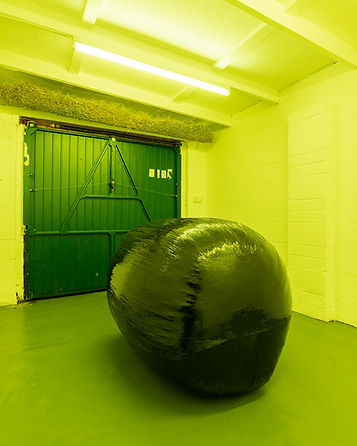 2020-11-02-BROCKLEYGARDENS-8275.jpg