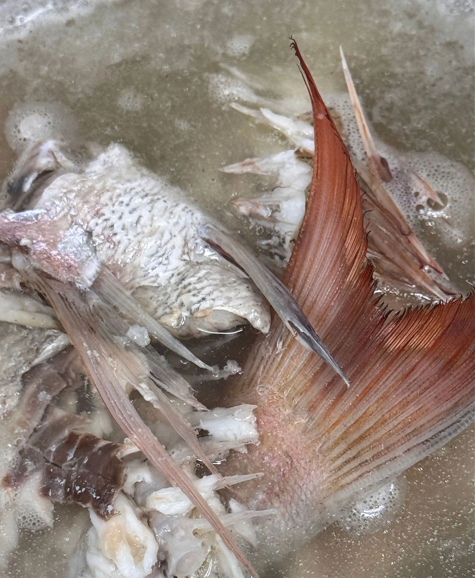 スープに沈める大きな魚の荒骨