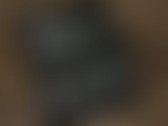 GPON automatic investigation and remediation with AI