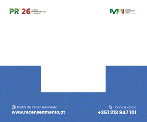 MOP 6seg 300x250.gif