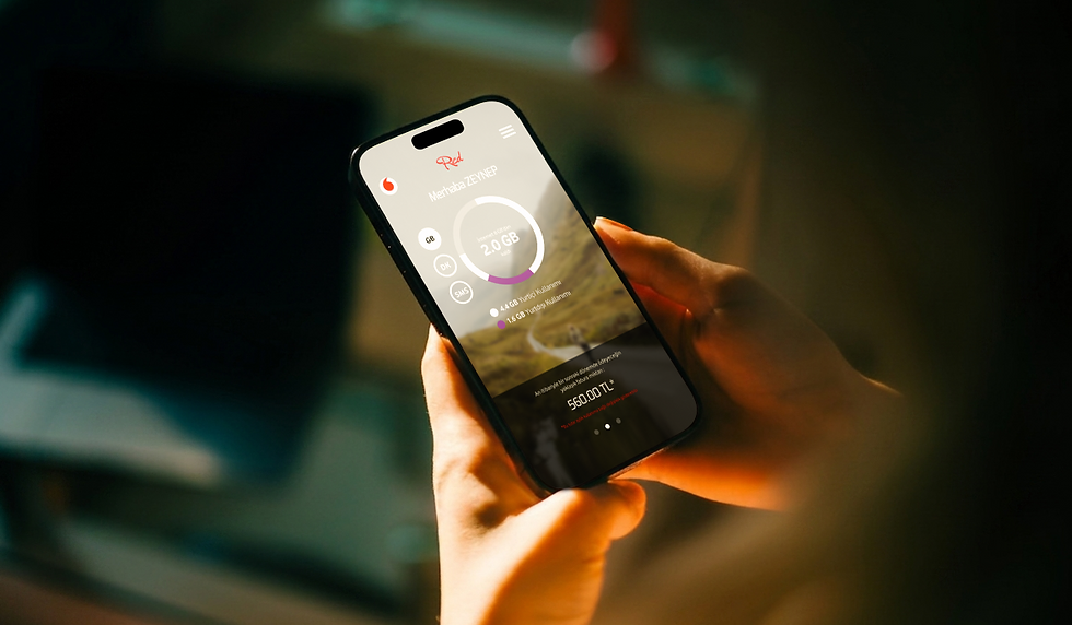 ethnogram_vodafone_roaming_01.png