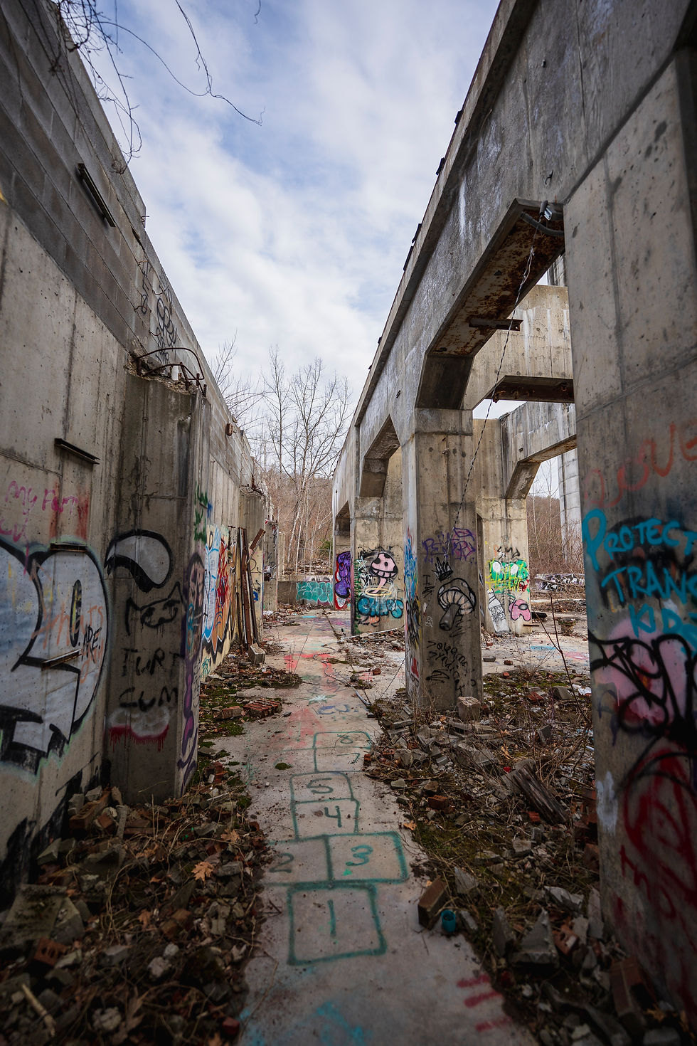 A7406656.jpg