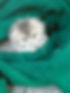 IMG_2352.jpeg