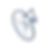 ranger.png