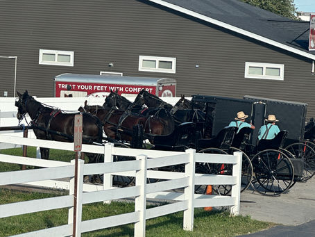 In the Heart of Amish Country (Berlin, OH)