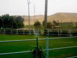 Raoucha Kandahar- Sakkara Club - 360 Solutions (1).jpg