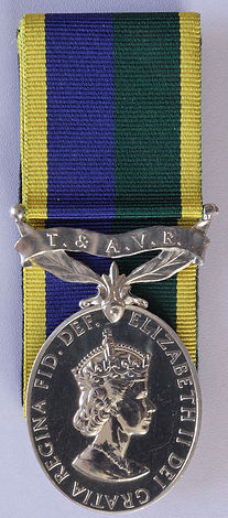Efficiency Medal TAVR T&AVR
