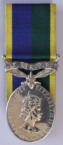 Efficiency Medal TAVR T&AVR