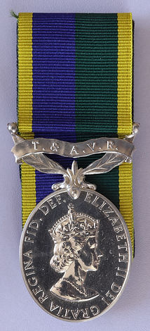 Efficiency Medal TAVR T&AVR