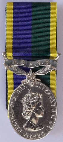 Efficiency Medal TAVR T&AVR