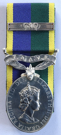 Efficiency Medal TAVR T&AVR