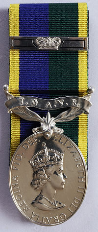 Efficiency Medal TAVR T&AVR
