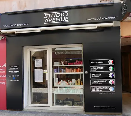 Salon de St Maximin