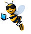 bie m PC u bakgrunn - shutterstock LITE