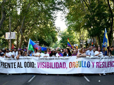 O acoso e castigo á diversidade: os delitos de odio