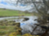 IMG_0195.jpeg