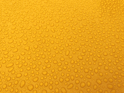 coating%202_edited.jpg