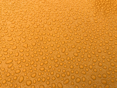 coating 1.jpg