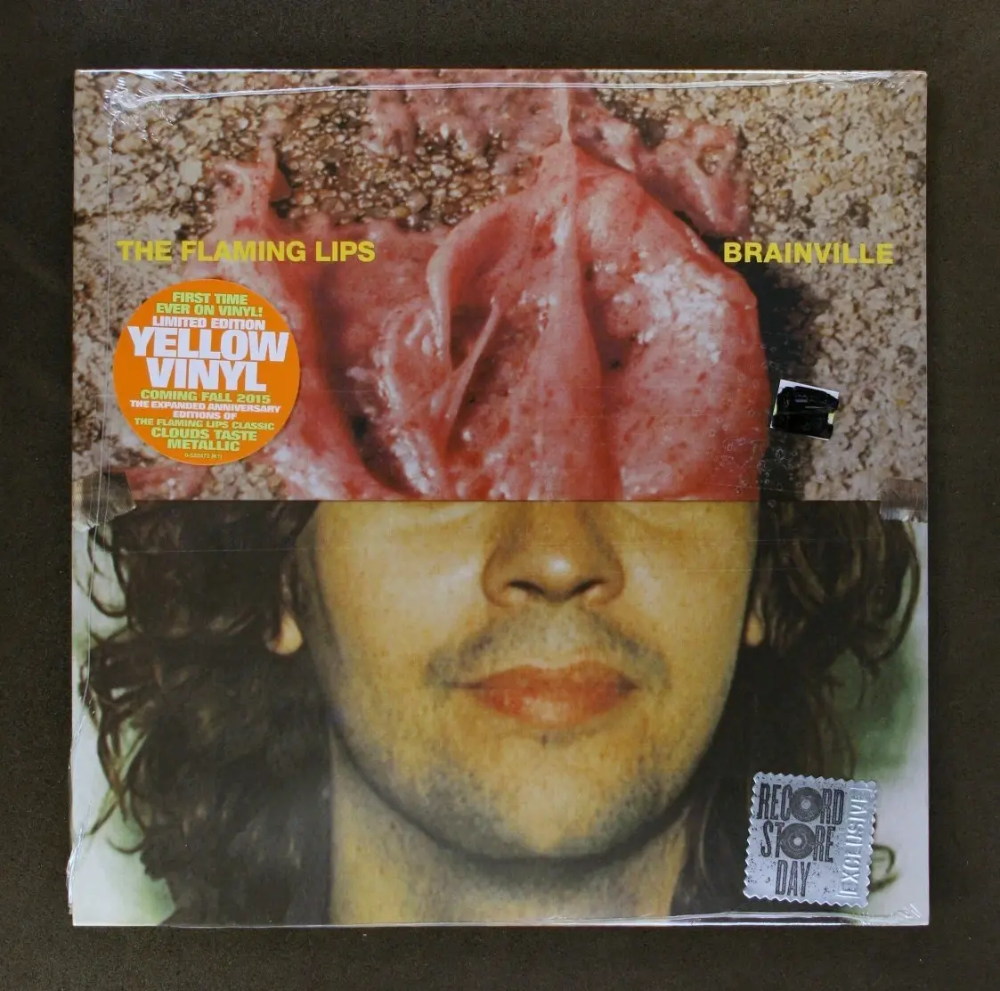 The Flaming Lips – Brainville