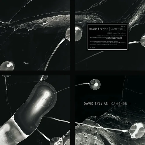 David Sylvian - Camphor II (2xLP, Translucent White Vinyl