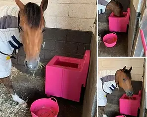 Haycube in the stall