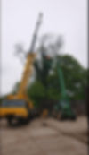 Tree surgery work completed by a worker