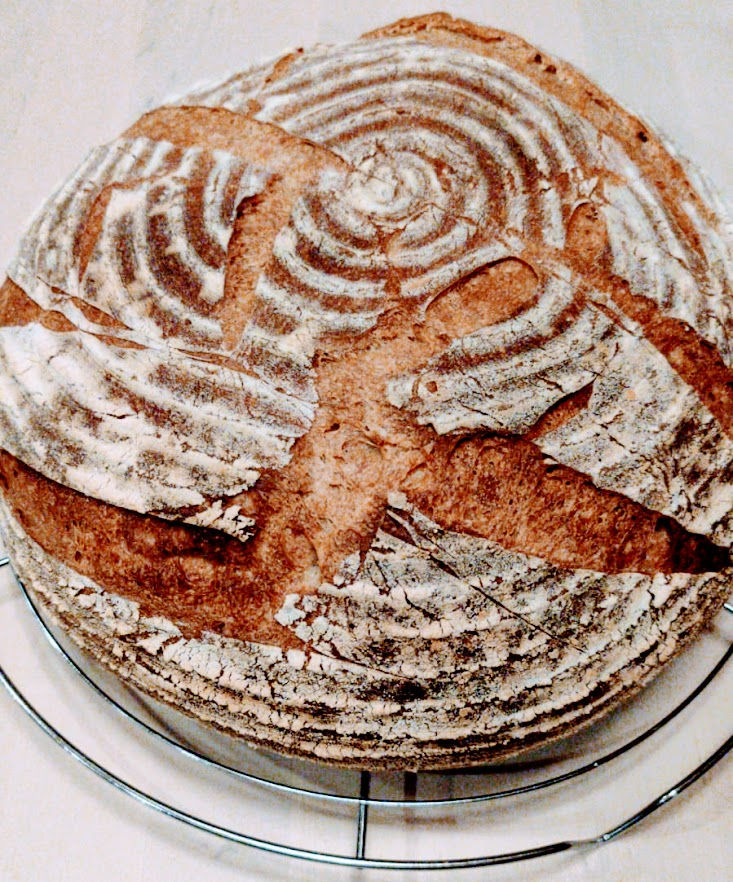 Thumbnail: Organic Durum Wheat and Rye - XXL (also available in Medium)