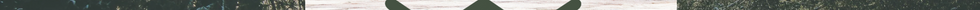 6F05CEE0-FD96-4542-BF20-ABC39CF842B6.png